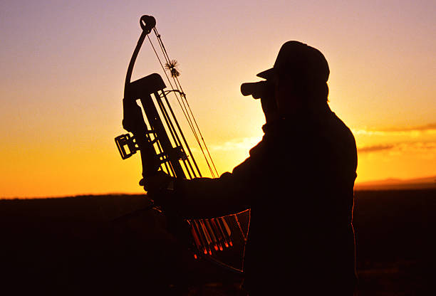 Bowhunter Glassing in Sunset stock photo