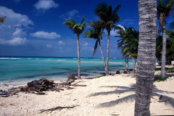 istock MEXICO YUCATAN CANCUN BEACH CARIBBEAN SEA 1132094889
