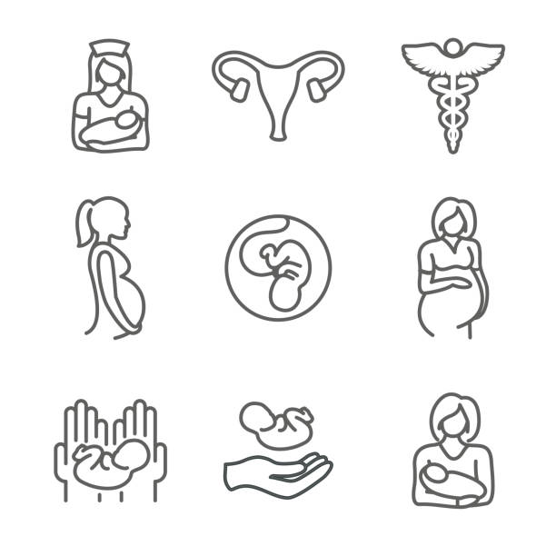 illustrations, cliparts, dessins animés et icônes de médecine pédiatrique avec l'icône de bébé/grossesse liée - childbirth gynecologist gynecological examination doctor