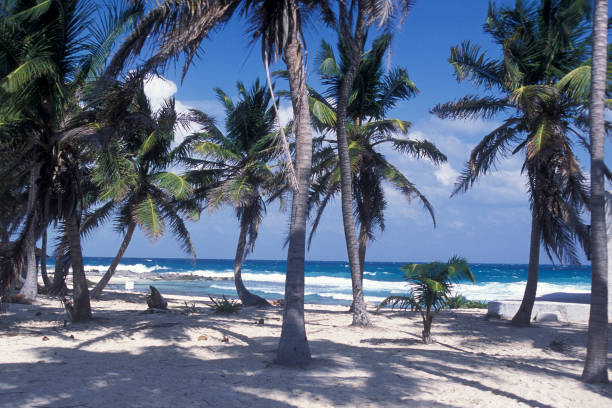 istock MEXICO YUCATAN CANCUN BEACH CARIBBEAN SEA 1132096264