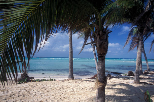 istock MEXICO YUCATAN CANCUN BEACH CARIBBEAN SEA 1132096275