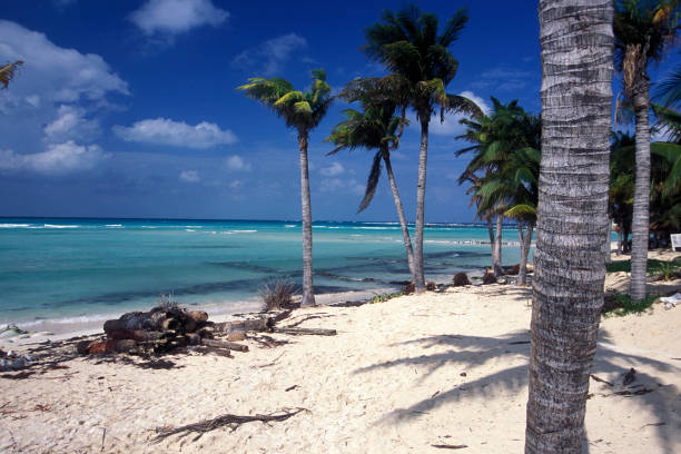 istock MEXICO YUCATAN CANCUN BEACH CARIBBEAN SEA 1132096432