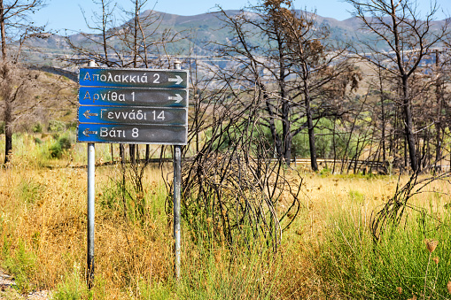 Road sign to villages: Apolakkia, Arnitha, Genandi, Vati, burnt after bushfire (Rhodes, Greece)