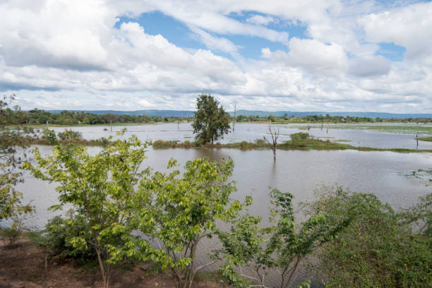 istock CAMBODIA ANLONG VENG TA MOK LAKE LANDSCAPE 1132097436