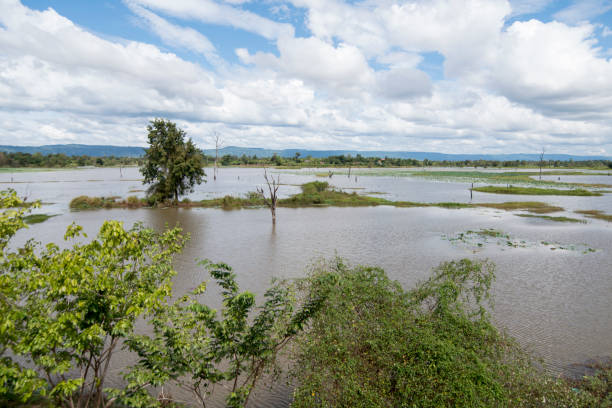 istock CAMBODIA ANLONG VENG TA MOK LAKE LANDSCAPE 1132097581