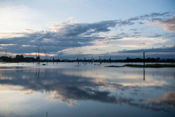 istock CAMBODIA ANLONG VENG TA MOK LAKE LANDSCAPE 1132099644