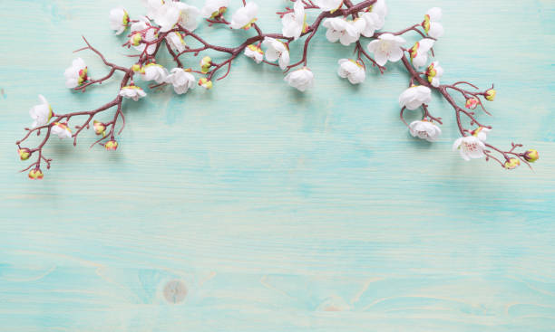 istock White flowers on blue wooden background 1132104575