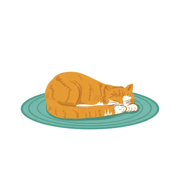 Vector illustration of Orange tabby Cat Sleeping On A Rug