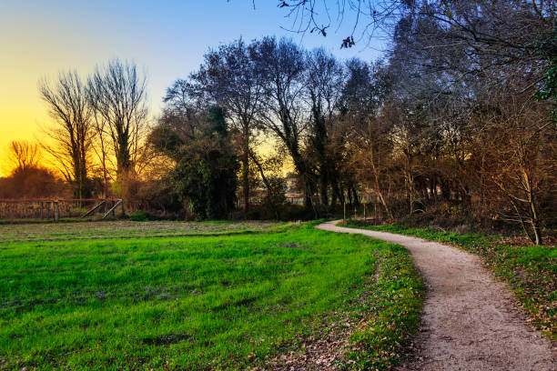 istock Winding path in Umia river park at sunset 1132109755