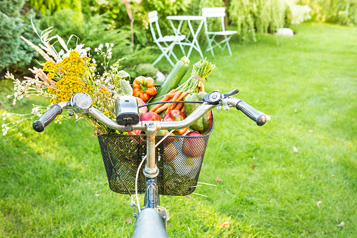 Bicycle basket filled with fresh vegetables and romantic wild-flower bunch. Gardening or healthy countryside lifestyle concept. Outdoor garden scenery as background. Sunny summer weekend mood.