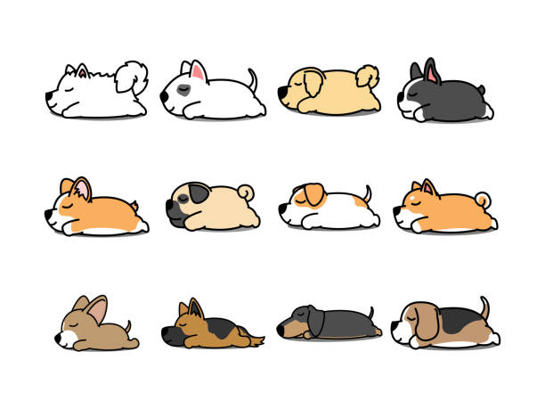 leniwy pies śpiący zestaw ikon z kreskówek, ilustracja wektorowa - terrier dog puppy animal stock illustrations
