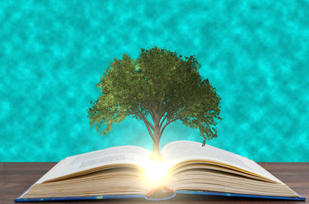 istock tree growing from a book against the background of water 1132113826