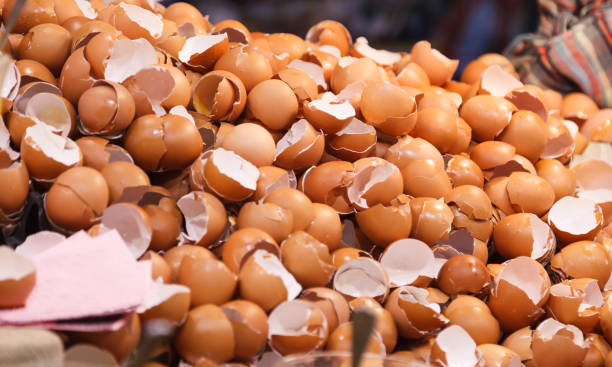 natural food ingredient, broken brown chicken egg shells in front of bakery shop in food market stall. Nutrition, Poultry Egg, Food, Wet Waste, Natural Protein, Calcium and Essential Minerals concept natural food ingredient, broken brown chicken egg shells in front of bakery shop in food market stall. Nutrition, Poultry Egg, Food, Wet Waste, Natural Protein, Calcium and Essential Minerals concept Eggshell Membrane stock pictures, royalty-free photos & images