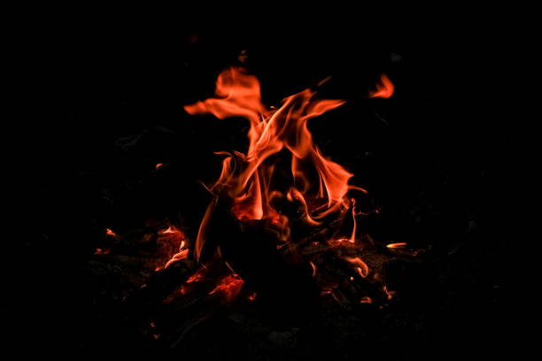 Logs of wood, burn bright red fire.  Flame of fire. Logs of wood, burn bright red fire.  Flame of fire. огонь stock pictures, royalty-free photos & images