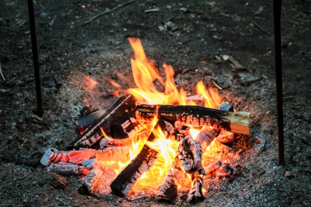 Logs of wood, burn bright red fire.  Flame of fire. Logs of wood, burn bright red fire.  Flame of fire. огонь stock pictures, royalty-free photos & images