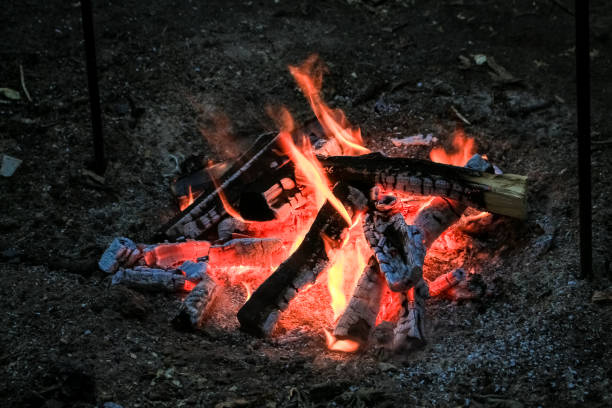 Logs of wood, burn bright red fire.  Flame of fire. Logs of wood, burn bright red fire.  Flame of fire. огонь stock pictures, royalty-free photos & images