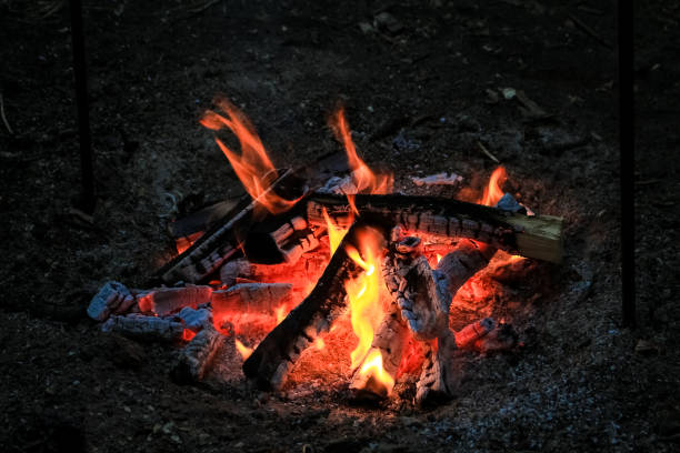 Logs of wood, burn bright red fire.  Flame of fire. Logs of wood, burn bright red fire.  Flame of fire. огонь stock pictures, royalty-free photos & images