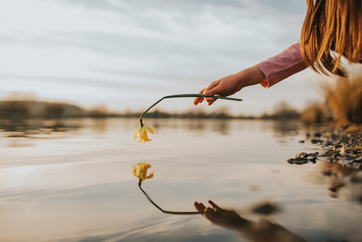 Girl hand hold flower with reflection on water