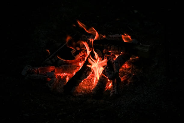 Logs of wood, burn bright red fire.  Flame of fire. Logs of wood, burn bright red fire.  Flame of fire. огонь stock pictures, royalty-free photos & images