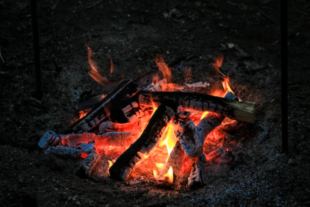 Logs of wood, burn bright red fire.  Flame of fire. Logs of wood, burn bright red fire.  Flame of fire. огонь stock pictures, royalty-free photos & images