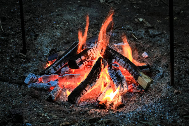 Logs of wood, burn bright red fire.  Flame of fire. Logs of wood, burn bright red fire.  Flame of fire. огонь stock pictures, royalty-free photos & images