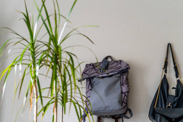 istock Purple School Backpack Hanging on the Wall - Isolated Object with White Background with Green Plant Besides it 1132117303