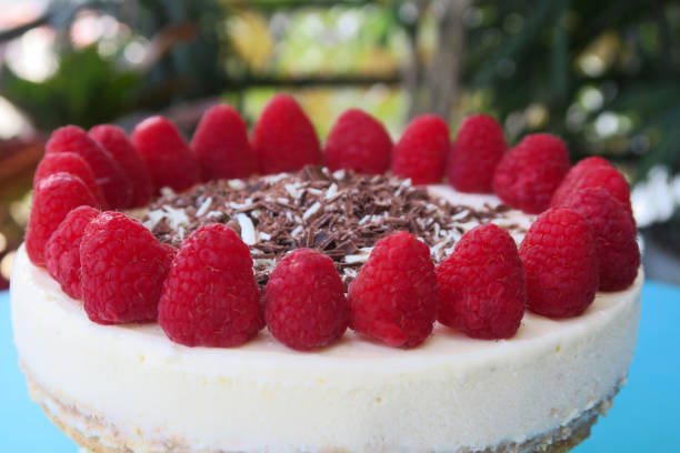 Image of whole gourmet homemade raspberry cheesecake cake dessert with grated chocolate and red berries in garden