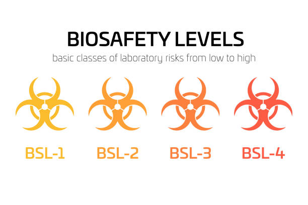 ilustrações de stock, clip art, desenhos animados e ícones de biosafety level signs from bsl-1 to bsl-4. simple flat vector biohazard caution signs used in laboratory. symbol of hazard caused by biological microorganism, virus or toxin - biologic
