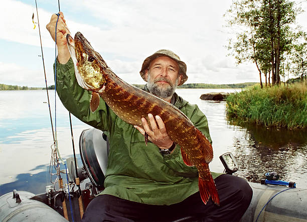 istock fisherman just catched big pike 113212238