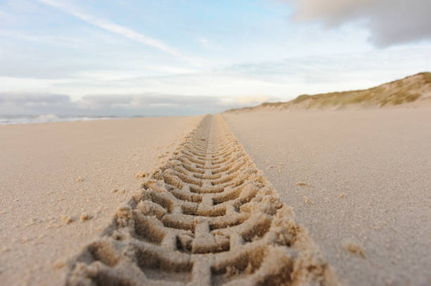 istock Tire track in the sand 1132122453