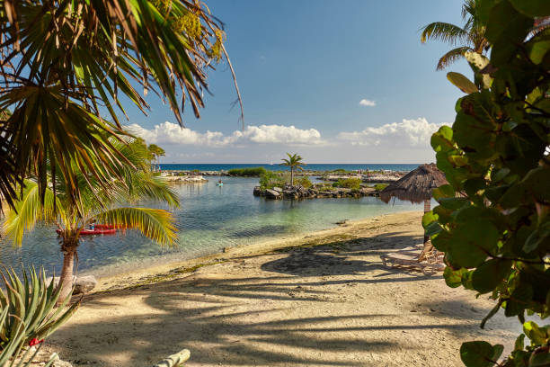 View of Puerto Aventuras beach in mexico Filtered by palm. View of Puerto Aventuras beach in mexico Filtered by natural vegetation. puerto aventuras stock pictures, royalty-free photos & images