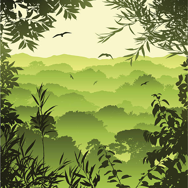 Forest Landscape vector art illustration