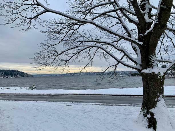 istock Beautiful snow view 1132124863