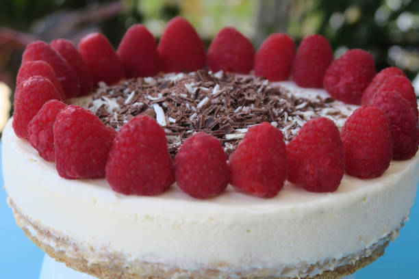 Image of whole gourmet homemade raspberry cheesecake cake dessert with grated chocolate and red berries in garden