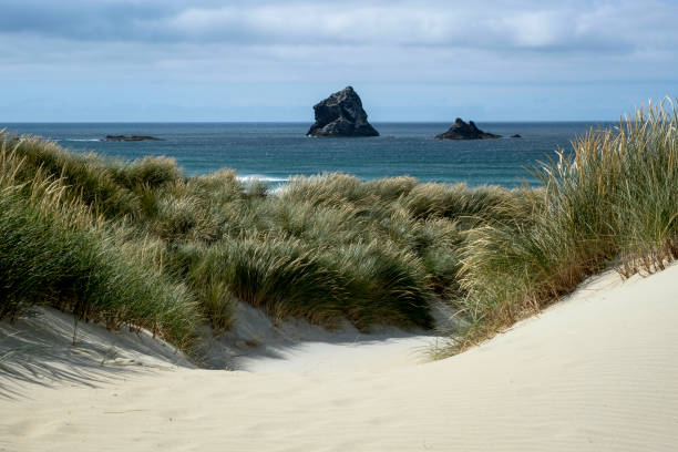 istock Sandfly Beach, New Zealand 1132129996