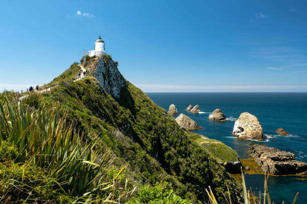 istock Nugget Point, New Zealand 1132130327