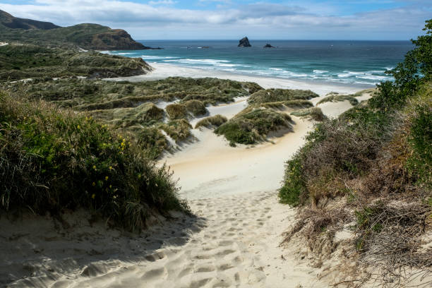 istock Sandfly Beach, New Zealand 1132130434