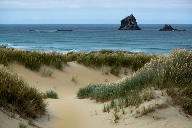 istock Sandfly Beach, New Zealand 1132130559
