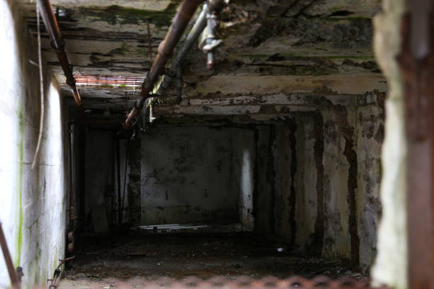 the cells and inside of philadelphia eastern state penitentiary - wall corridor tunnel glass stock-fotos und bilder