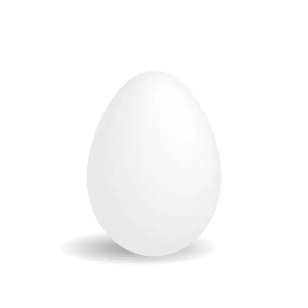 Vector illustration of White egg. 3D illustration with shadow. Easter holiday theme