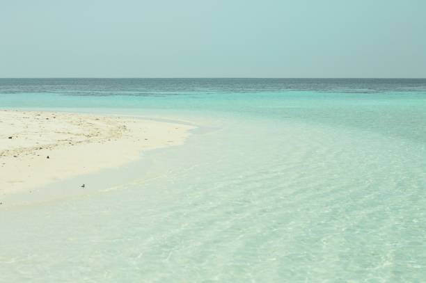 Indian ocean in Maldives - coral reef (Ari Atoll, Maldives)