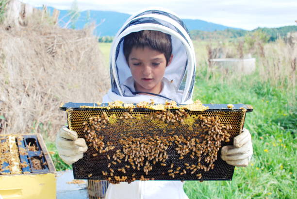 istock Child in a Bee Suit with Honeycomb Frame in Hands 1132135954