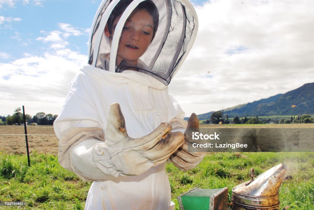 Child in a Bee Suit looks at Honeybees in his Hand There is nothing a Child loves more than a day at work with his Dad. Here a child spends a moment looking at Honeybees resting on his gloves. Adult Imitation Stock Photo
