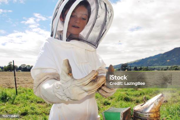 Child In A Bee Suit Looks At Honeybees In His Hand Stock Photo - Download Image Now - Adult Imitation, Agricultural Occupation, Agriculture