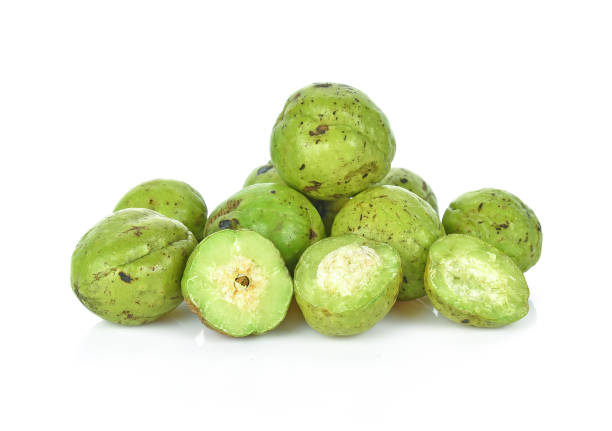 istock Chebulic myrobalans,Myrolan wood (Terminalia chevula retz.)Fruit medicinal properties isolated on white background 1132138321