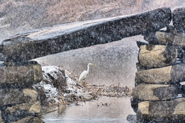 Snowy Day's Jingham Bridge