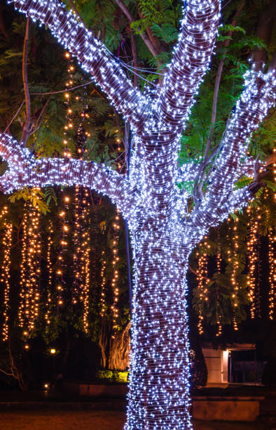 istock The trees are decorated with electricity 1132143645