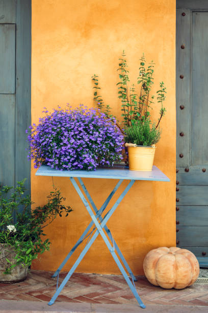 провансальное украшение: цветы и тимьян на столе против желтой стены. - lobelia стоковые фото и изображения