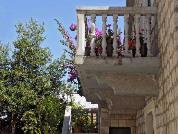 istock Balcony full with various flowering plants in the flowerpots 1132143692
