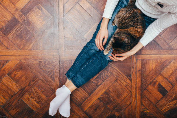 istock View from above young woman relaxing sitting 1132144510
